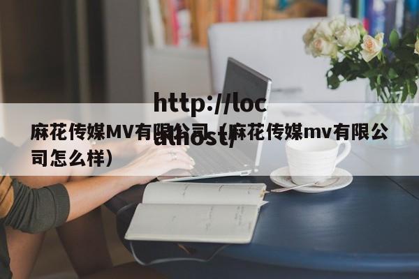 麻花传媒MV有限公司（麻花传媒mv有限公司怎么样）